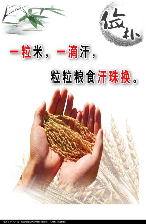 做假的食品生产加工小作坊许可证